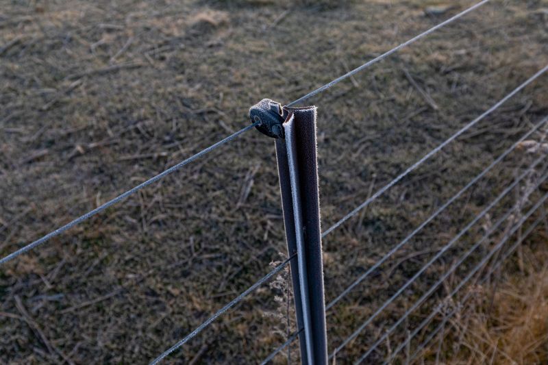Fence Post Repair