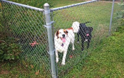 Chain Link Fence Post Repair!